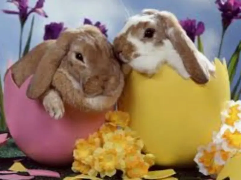 Andachtsbild von Andrea mit Mausi im Herzen