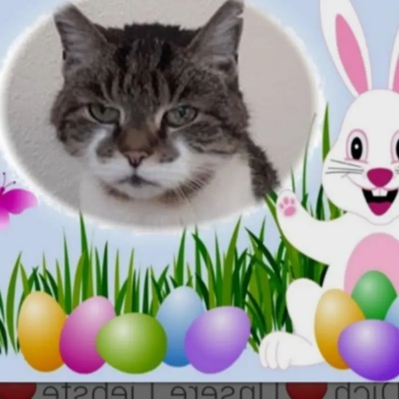 Andachtsbild von Andrea mit Minki im ❤