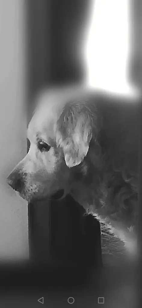 Andachtsbild von Heike