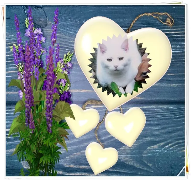 Andachtsbild von ❤️❤️❤️❤️❤️❤️❤️❤️❤️❤️❤️❤️❤️❤️