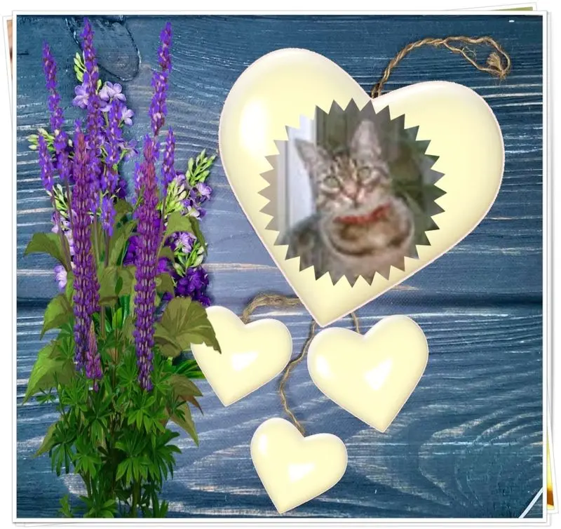 Andachtsbild von ❤️❤️❤️❤️❤️❤️❤️❤️❤️❤️❤️❤️❤️❤️