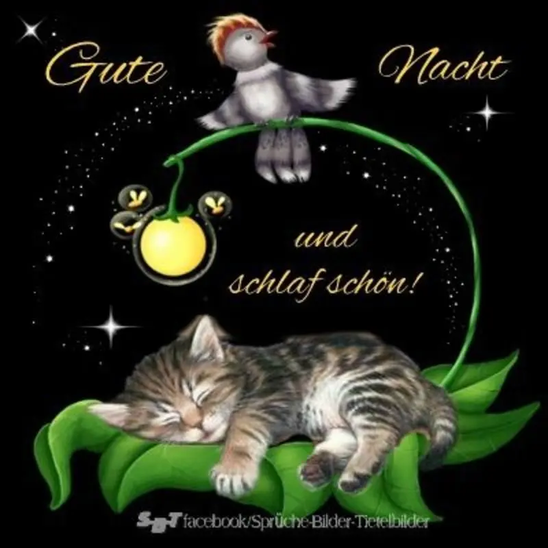 Andachtsbild von Gute Nacht ⭐