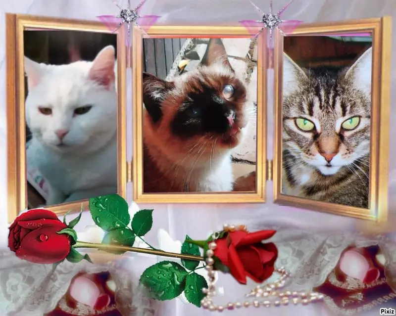 Andachtsbild von Von Netti ❤️