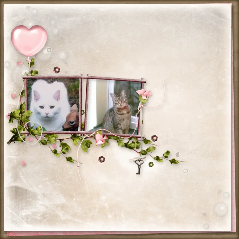 Andachtsbild von Sternchenpost ⭐