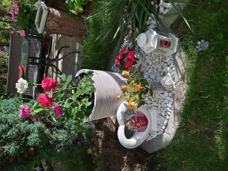 Andachtsbild von Für unsere beiden Lieblinge ♥️