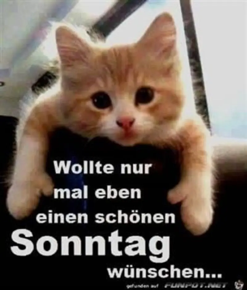 Andachtsbild von Sternchenpost⭐