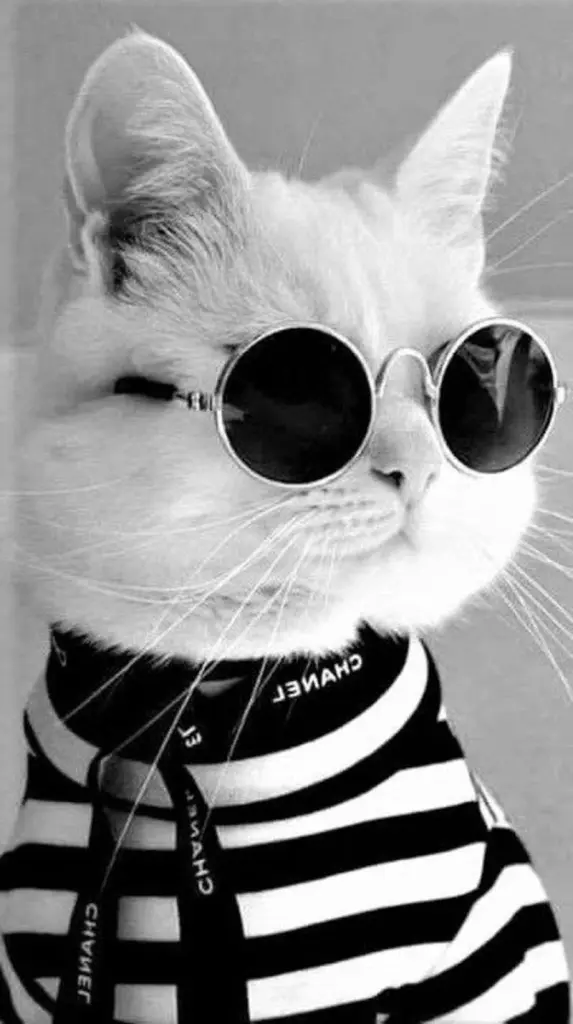 Andachtsbild von Sternchenpost⭐