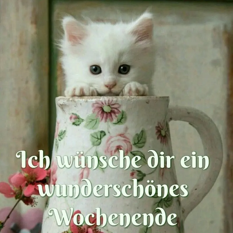 Andachtsbild von Post von Bunny