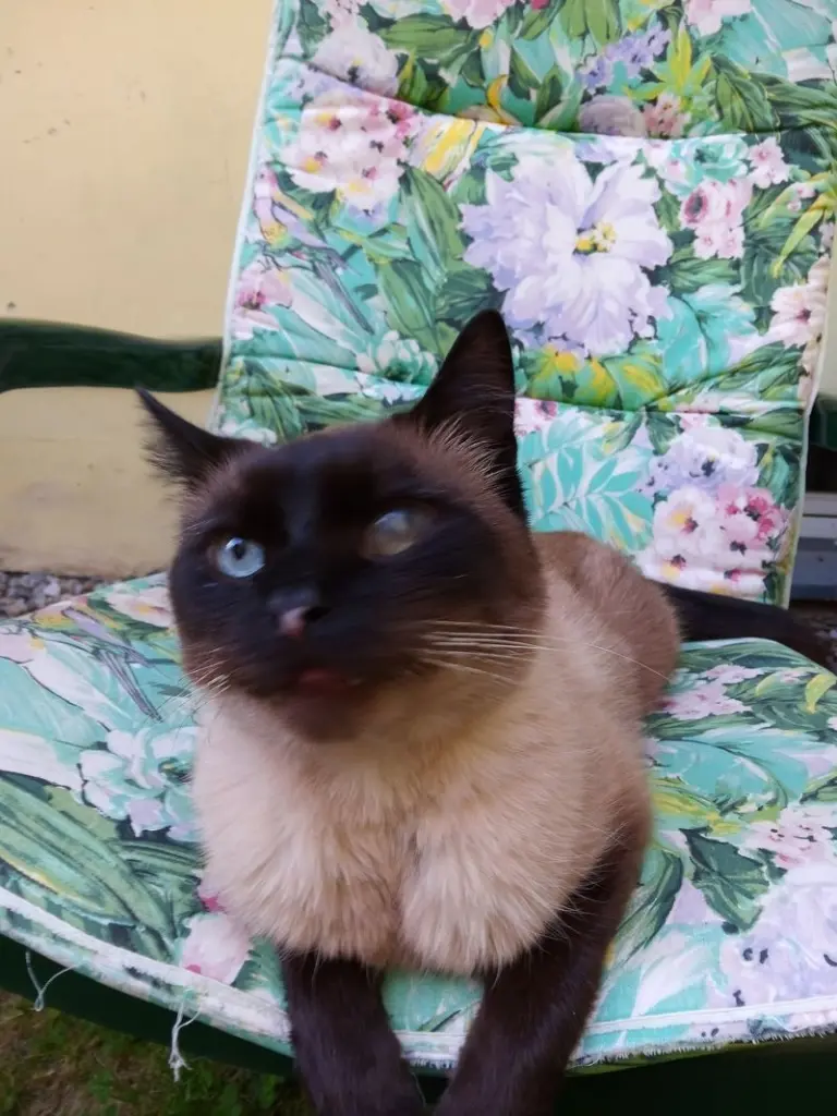 Andachtsbild von Für Sisile und Lieslmaus ♥️♥️