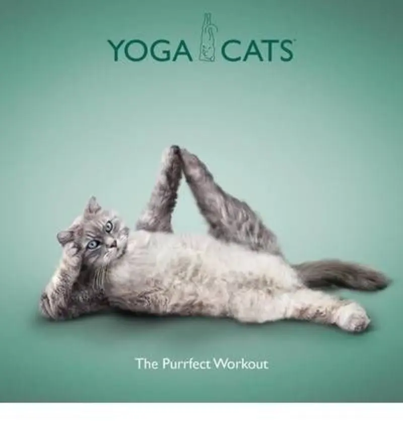 Andachtsbild von Sternchenpost⭐