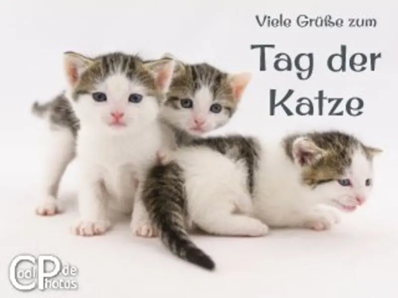 Andachtsbild von Patricia mit Bunny 