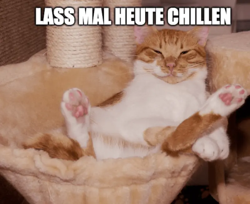 Andachtsbild von Patricia und Bunny 