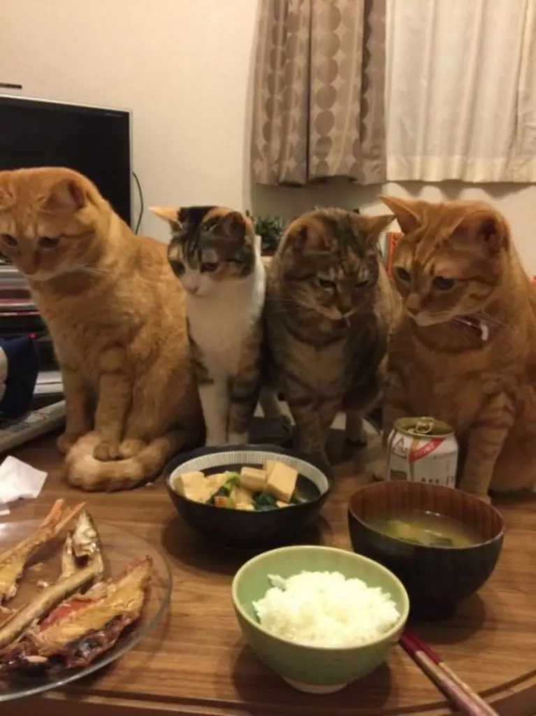 Andachtsbild von Post von Minki ❤