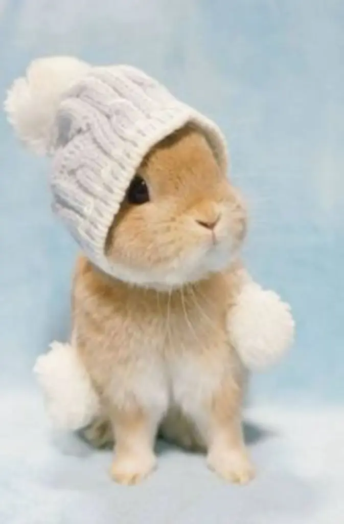 Andachtsbild von Patricia und Bunny 