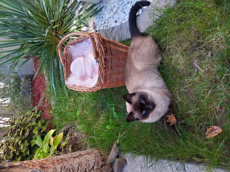 Andachtsbild von Für meine beiden Lieblinge ♥️