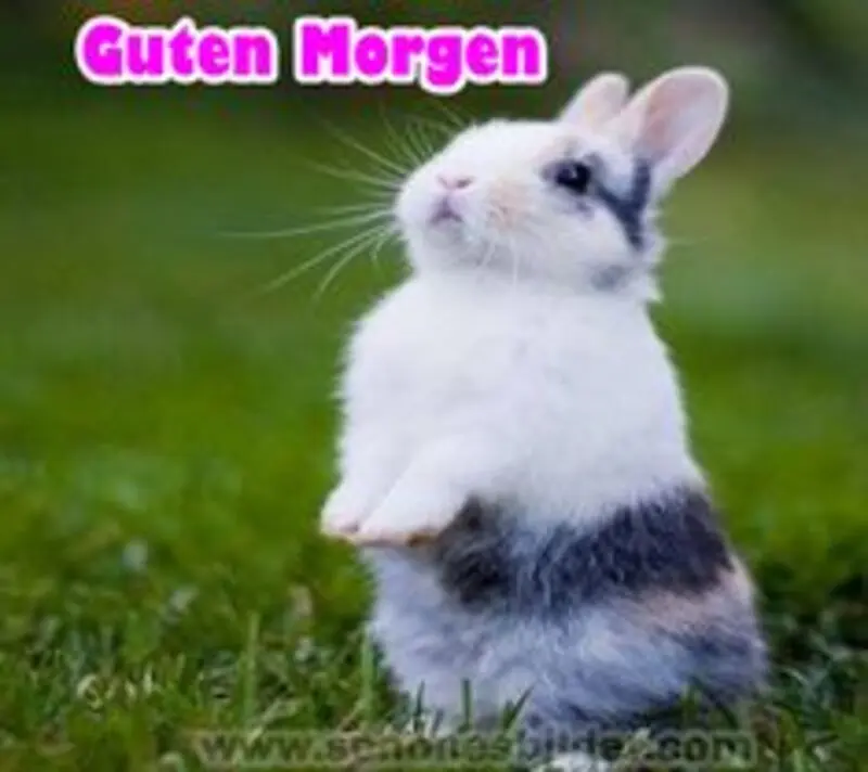 Andachtsbild von Patricia und Bunny