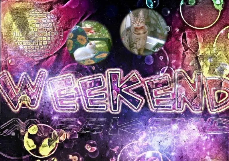 Andachtsbild von Post von Sisi und Lissy ❤