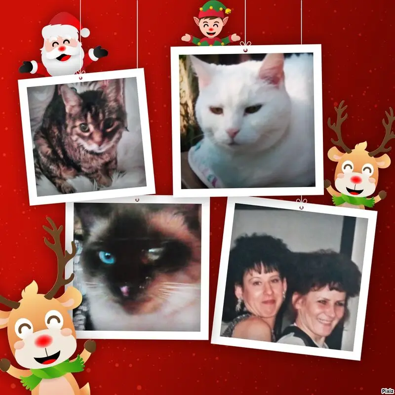 Andachtsbild von Meine beiden Sternchen ♥️