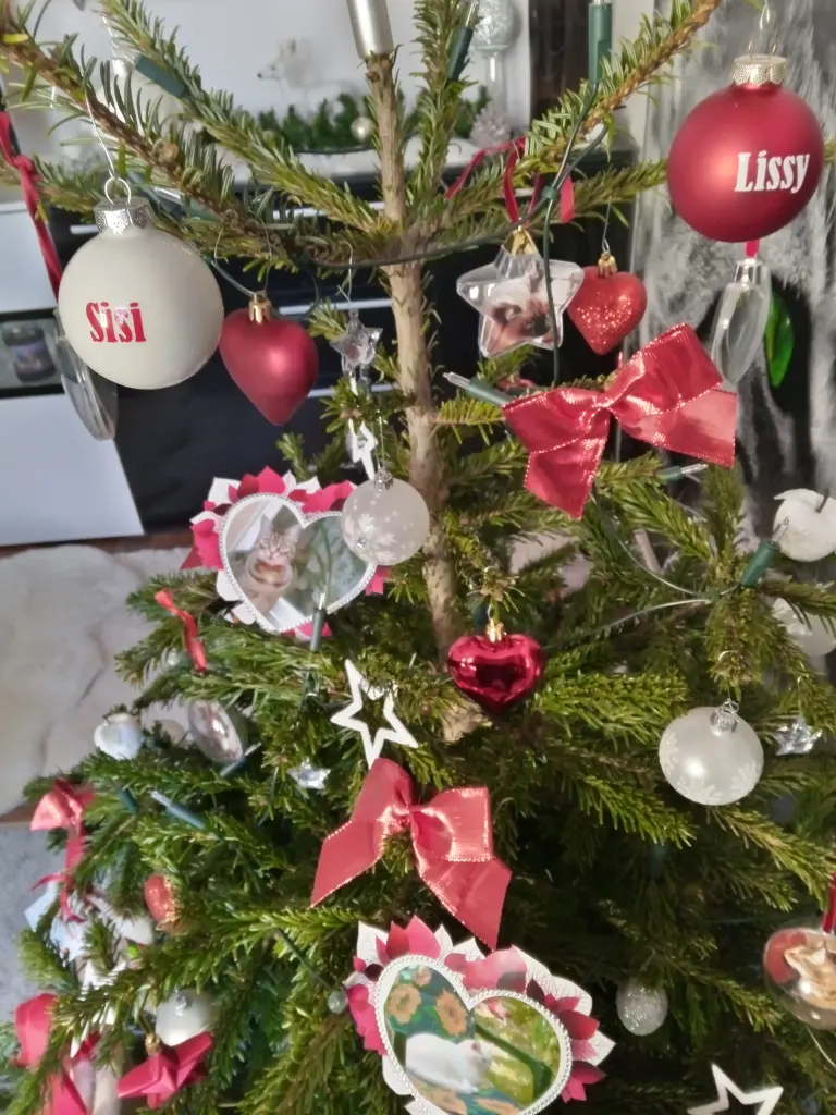 Andachtsbild von Für unsere Liebe Sisi und Lissy ♥️