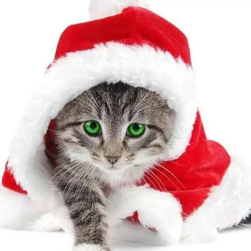 Andachtsbild von Post von Sisi und Lissy ❤