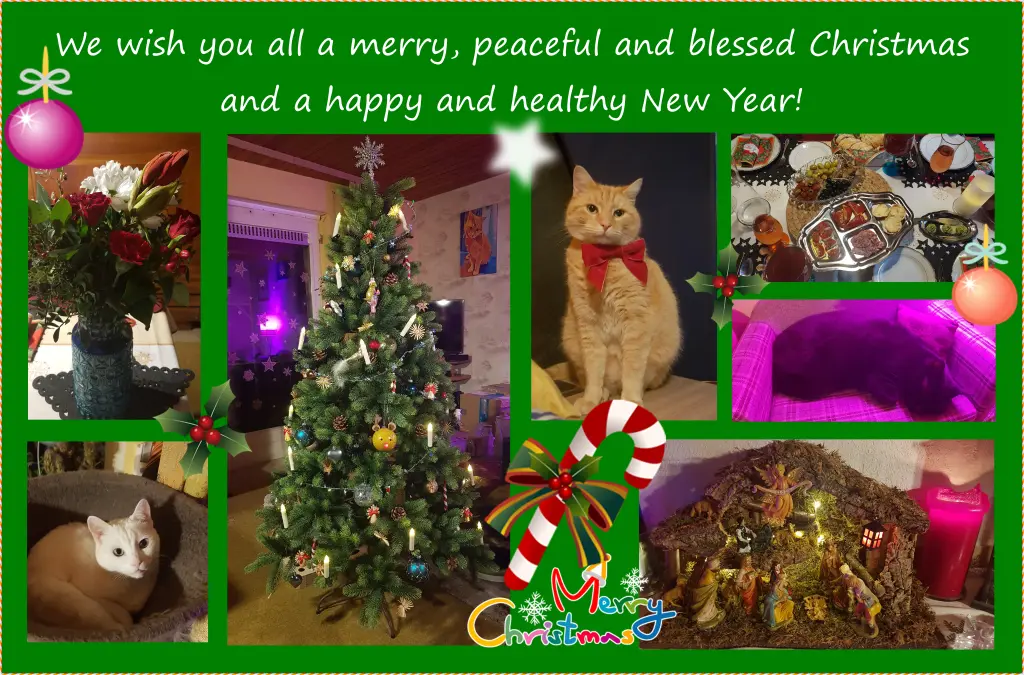 Andachtsbild von Janine