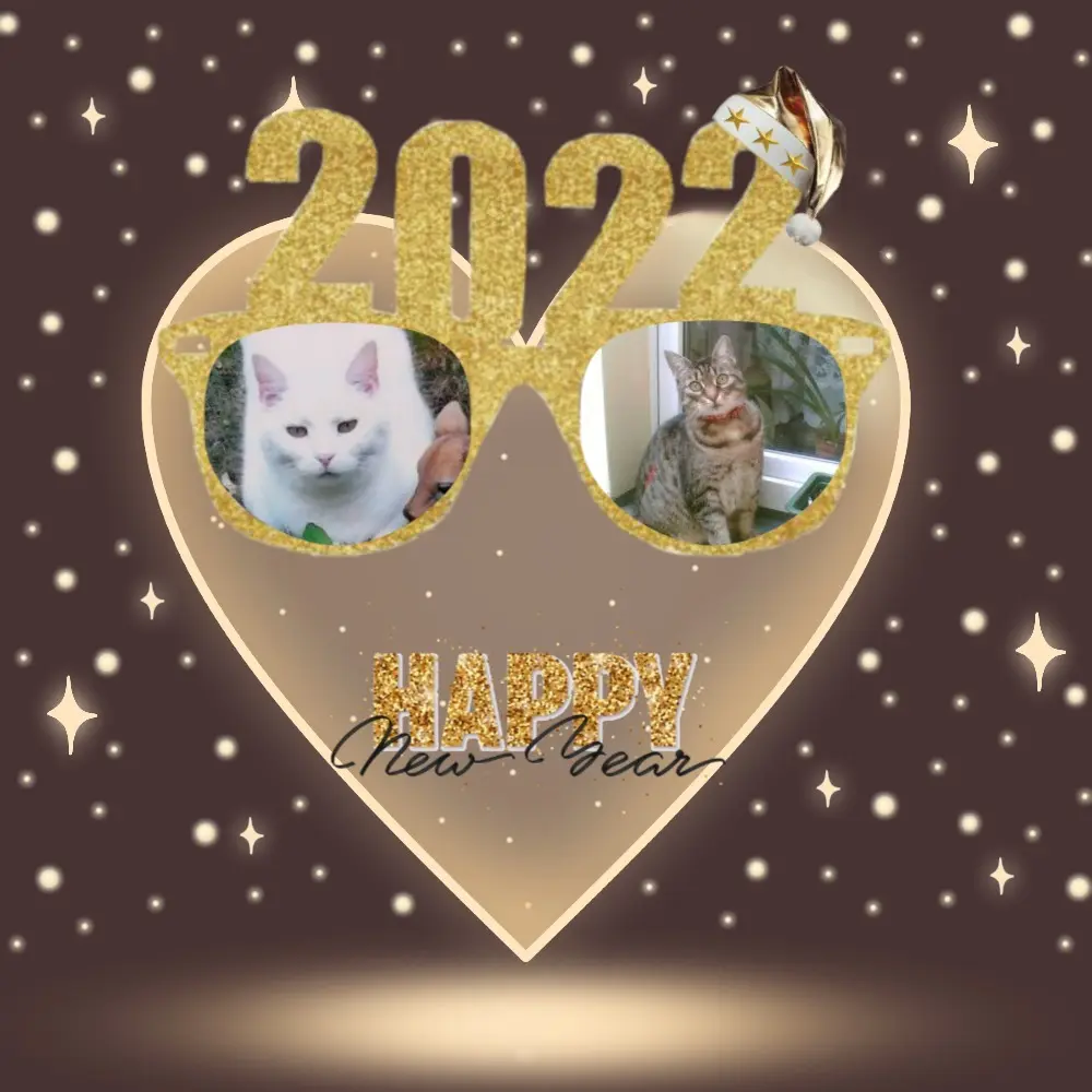 Andachtsbild von Andrea mit Minki im ❤