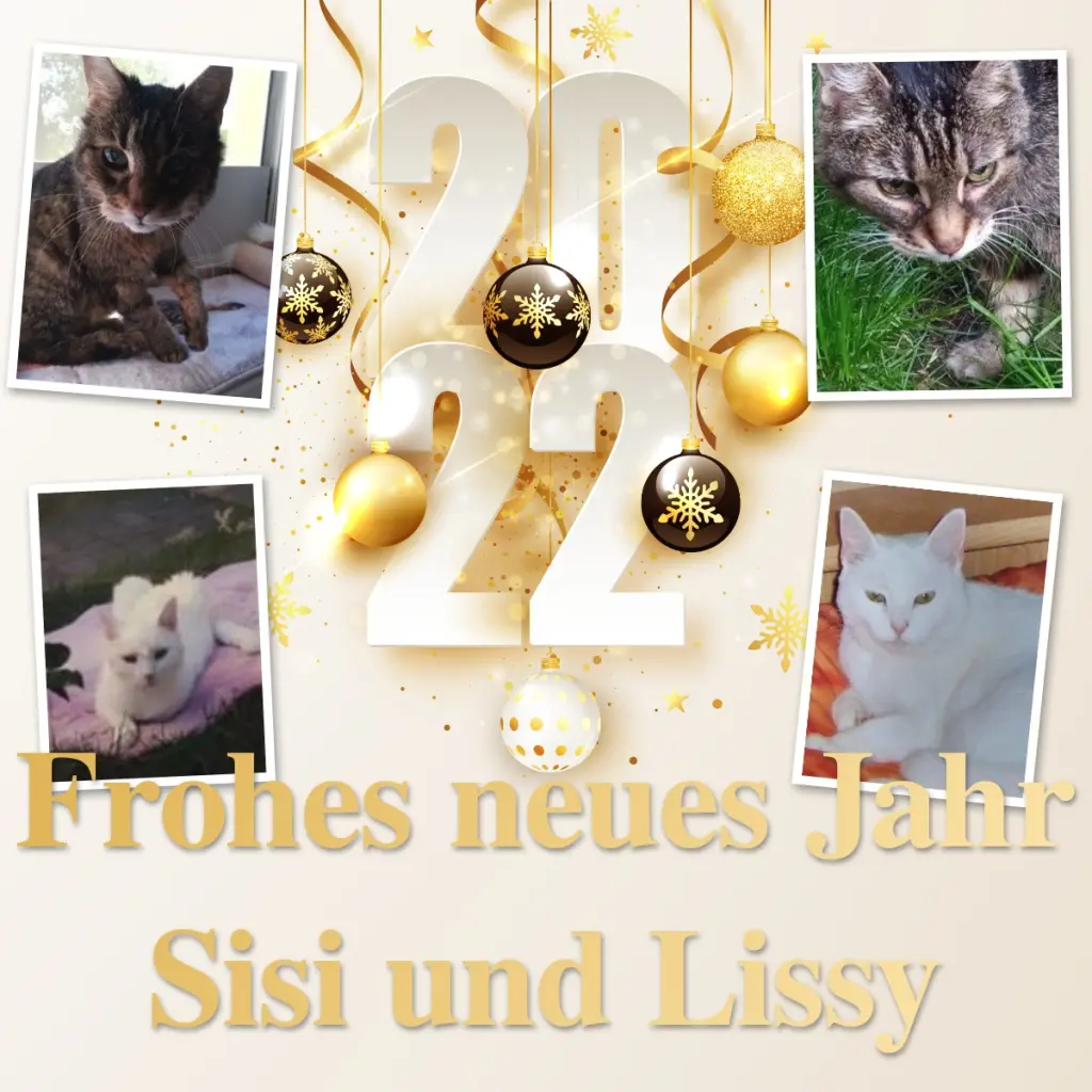 Andachtsbild von Patricia mit Bunny 