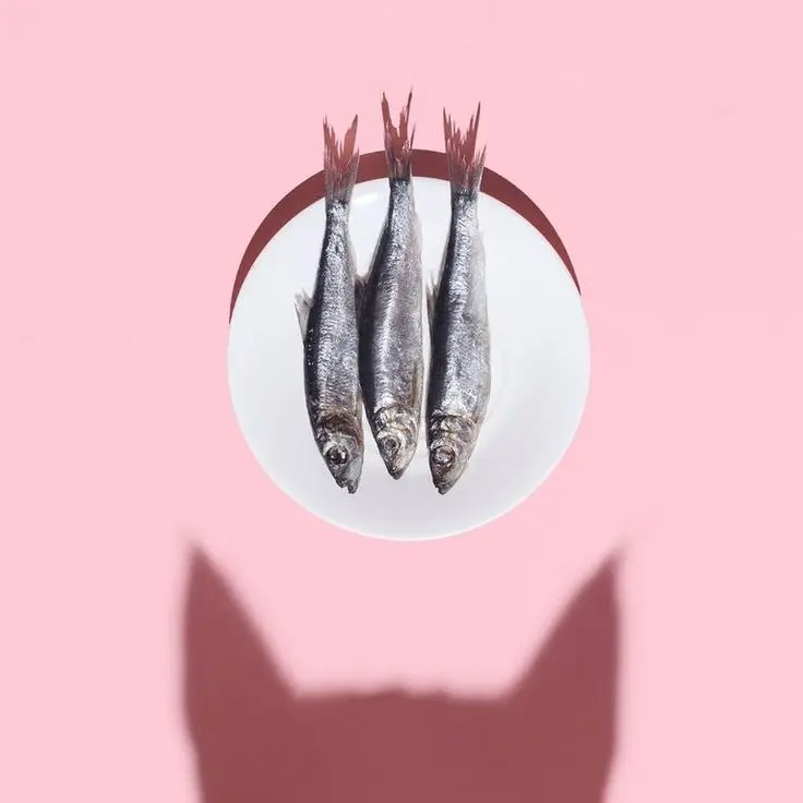 Andachtsbild von Post von Minki ♥️