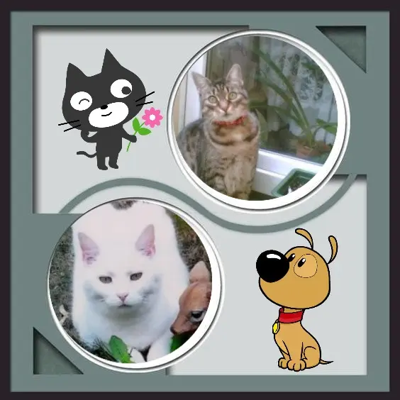 Andachtsbild von Post von Minki ♥️