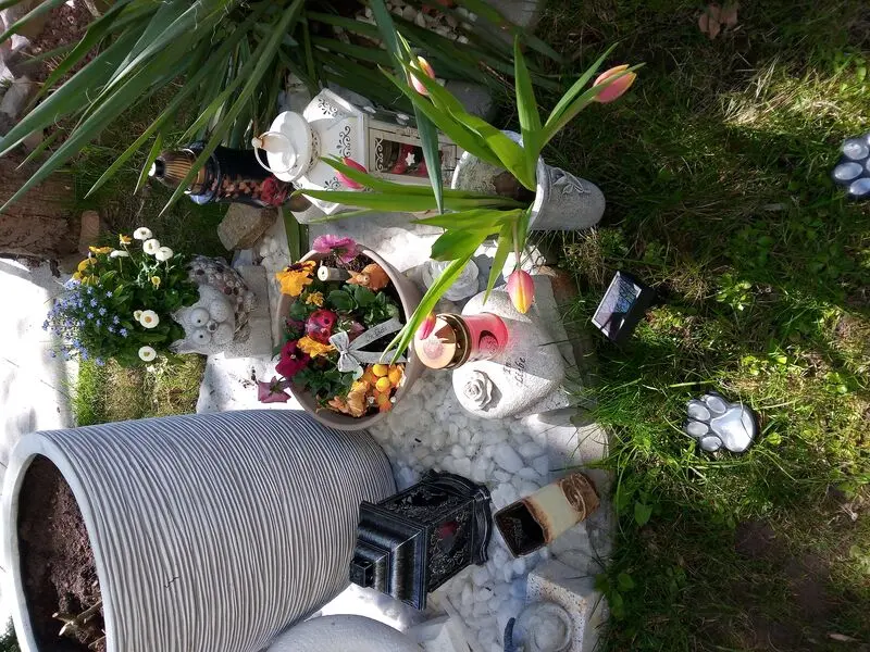 Andachtsbild von Für unsere kleinen Lieblinge ♥️