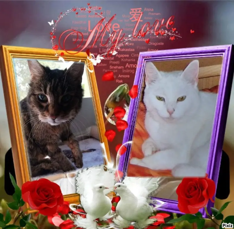 Andachtsbild von Patricia mit Bunny ❤