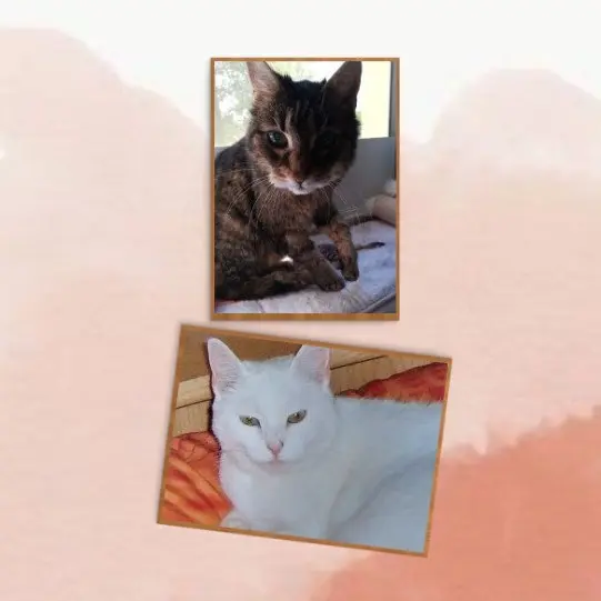 Andachtsbild von Patricia mit Bunny ❤