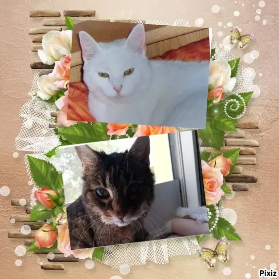 Andachtsbild von Patricia mit Bunny ❤