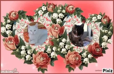 Andachtsbild von Patricia mit Bunny ❤