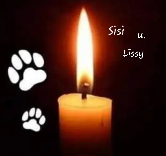 Andachtsbild von Birgit