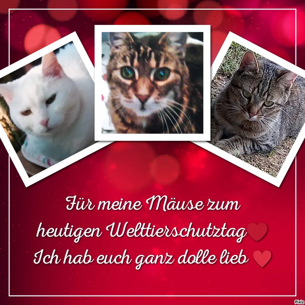 Andachtsbild von Für meine drei kleinen Lieblinge ♥️