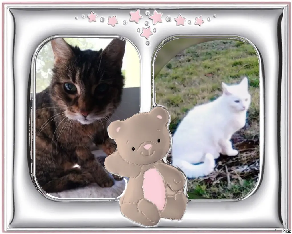 Andachtsbild von Patricia mit Bunny ❤️