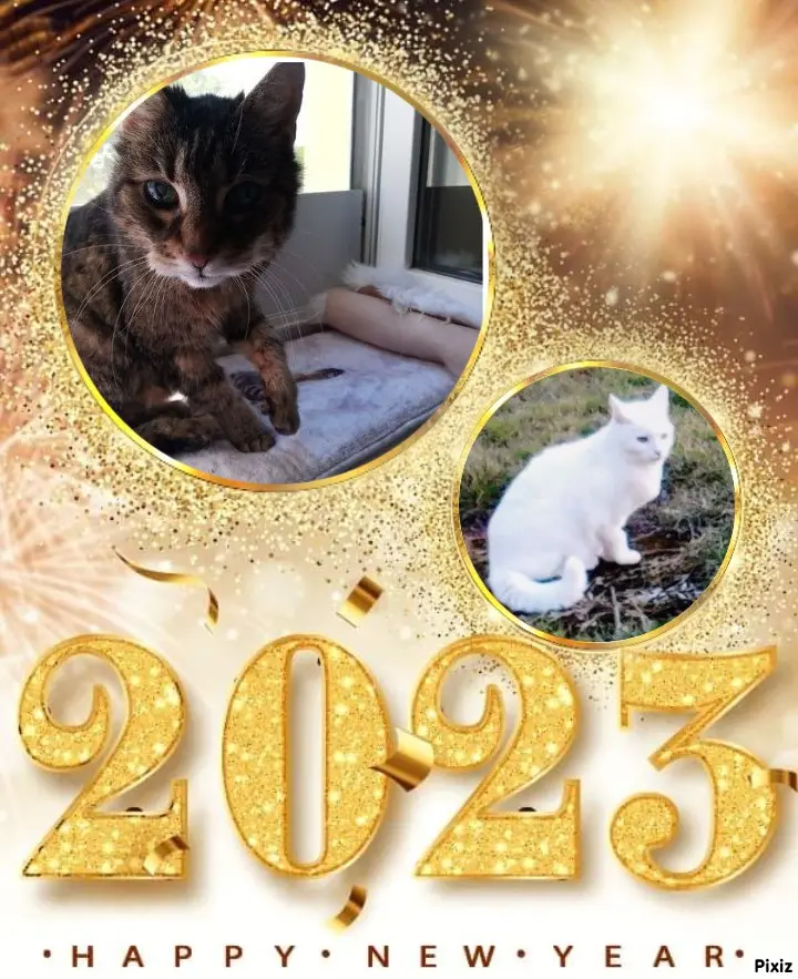 Andachtsbild von Neujahrsgrüße ❤️