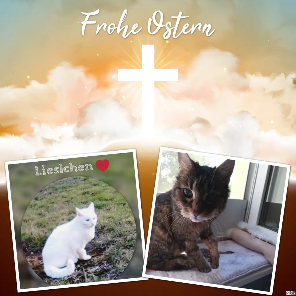 Andachtsbild von Ostergrüße ❤️