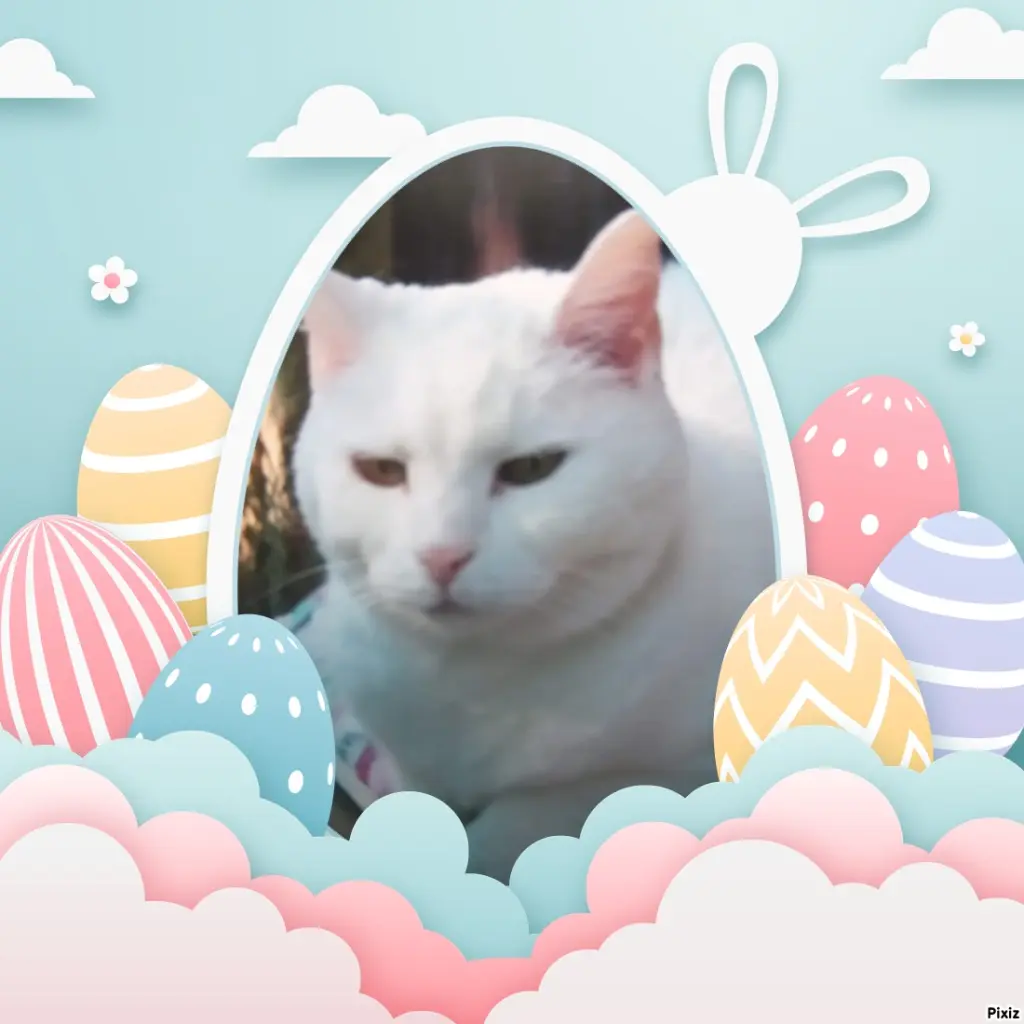 Andachtsbild von Meine Mäuse ♥️