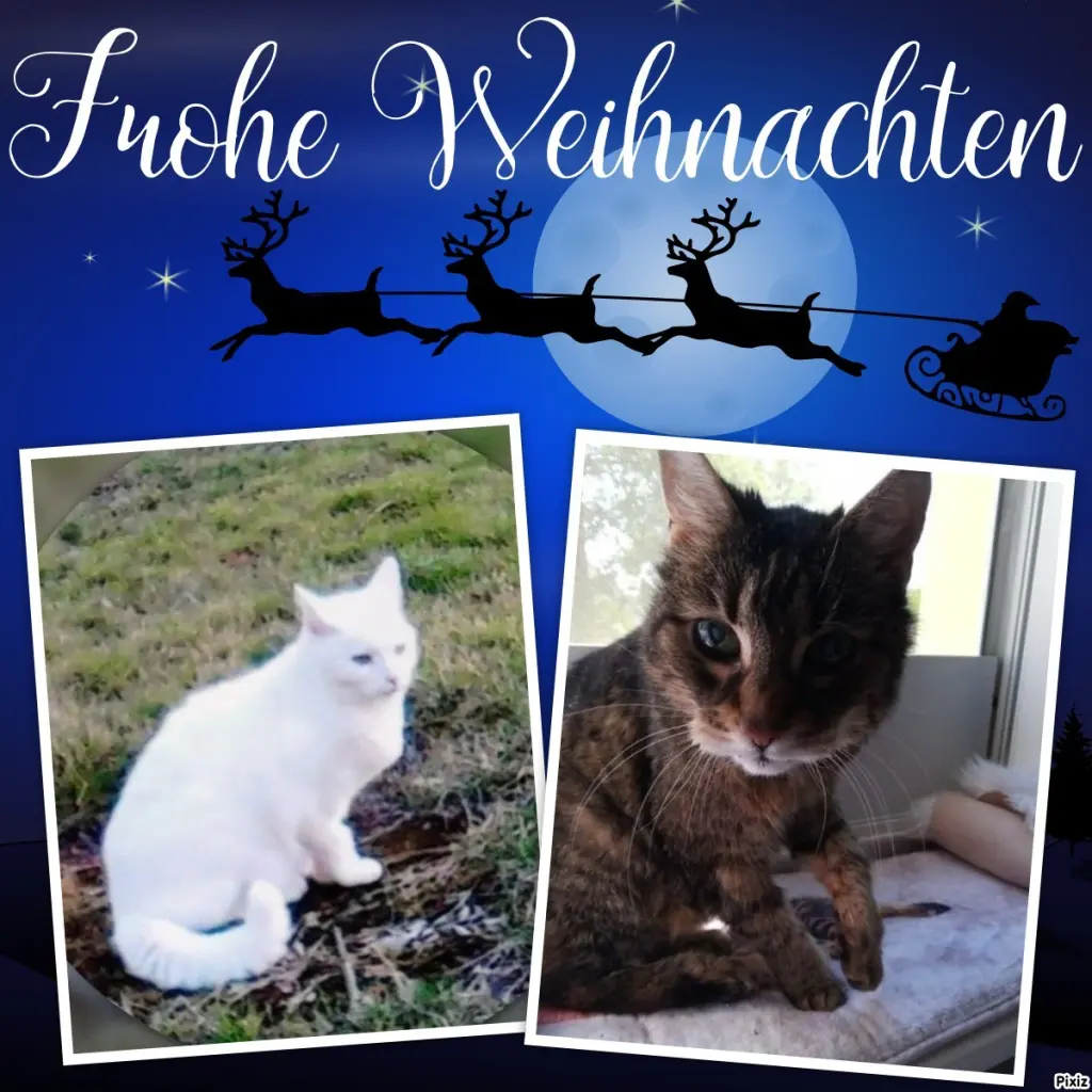 Andachtsbild von Schöne Festtage ❤️