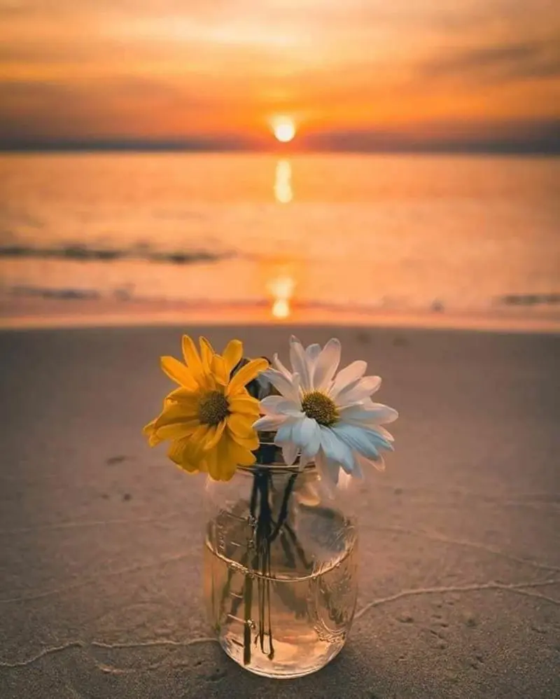 Condolence image of ❤