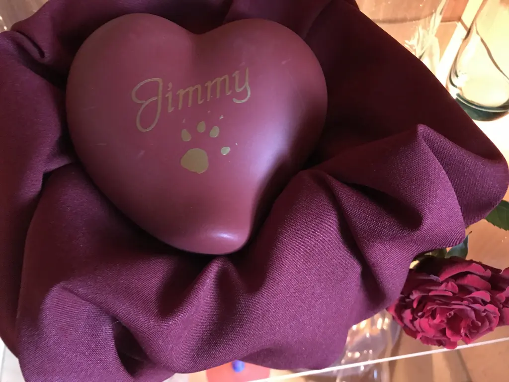Image from Jimmy