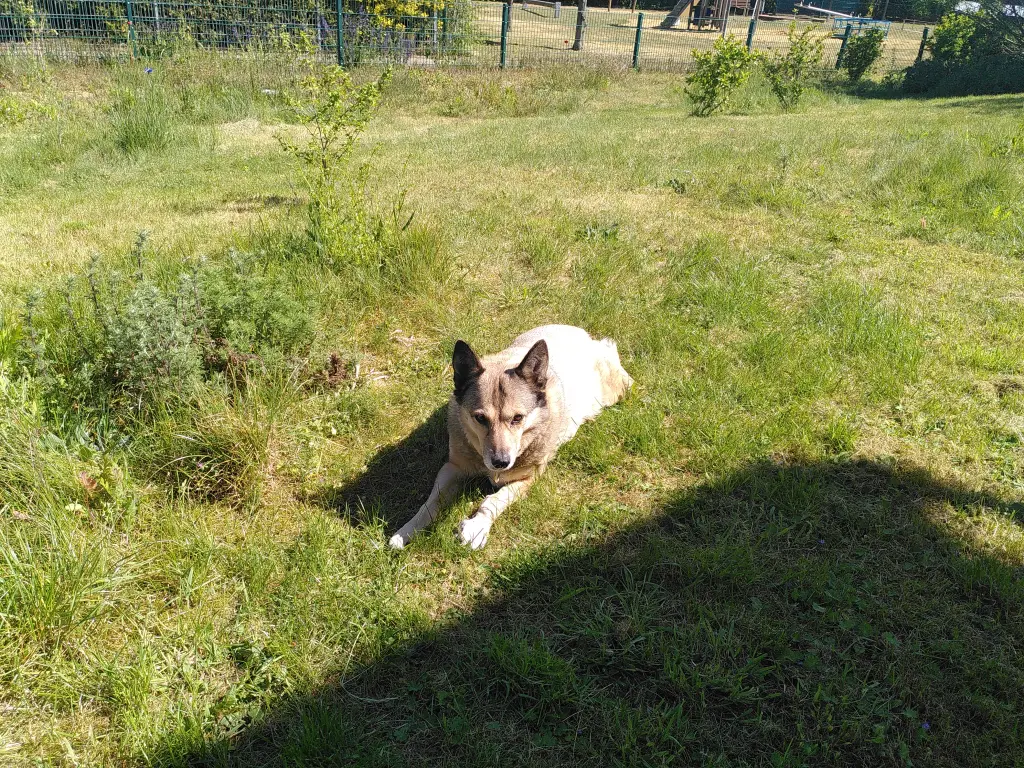 Image from Tiffy