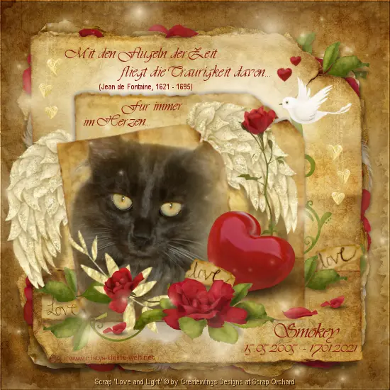 Image from Smokey
