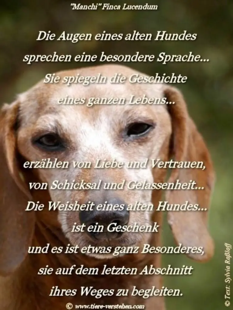 Condolence image of Sabine 