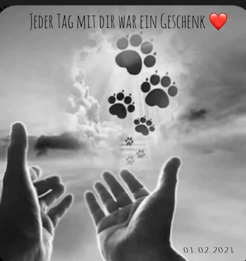 Condolence image of Heike 