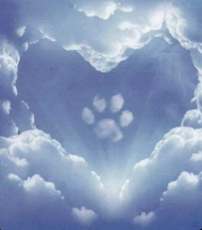 Condolence image of Heike 