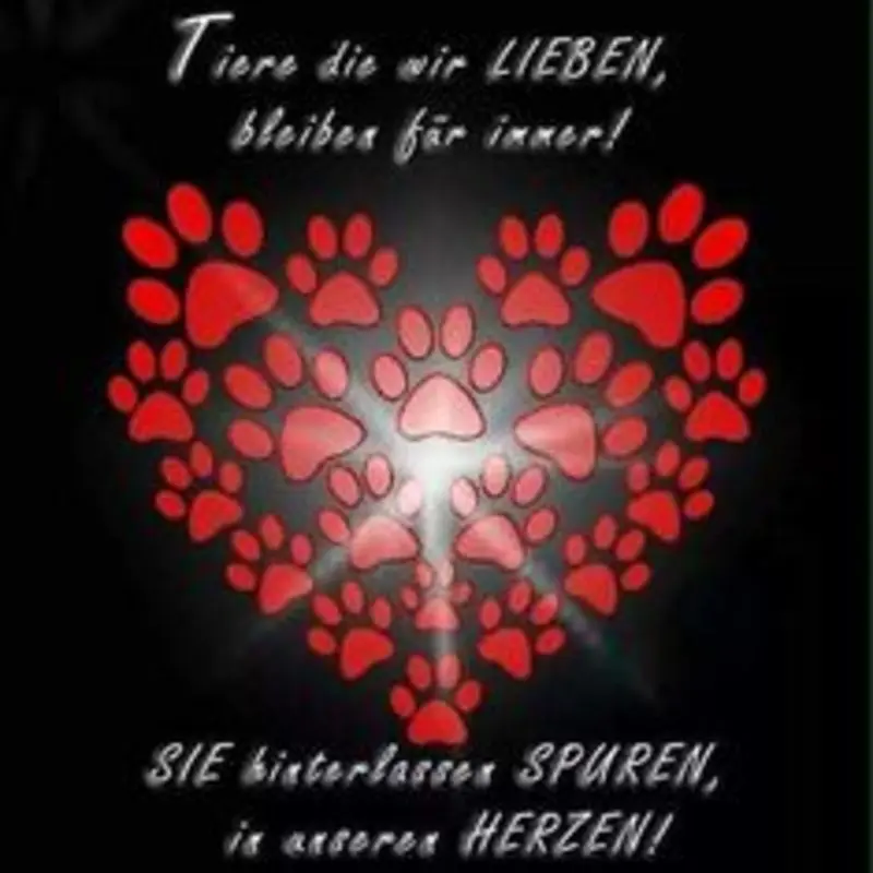 Andachtsbild von Katrin und Katzi im ❤️