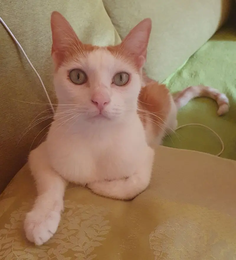 Andachtsbild von Petra mit Nilay im Herzen